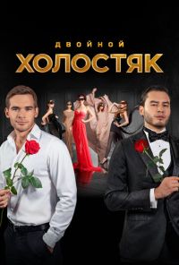 Холостяк (2013)