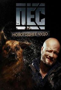 Пёс. Новогоднее чудо (2018) онлайн бесплатно